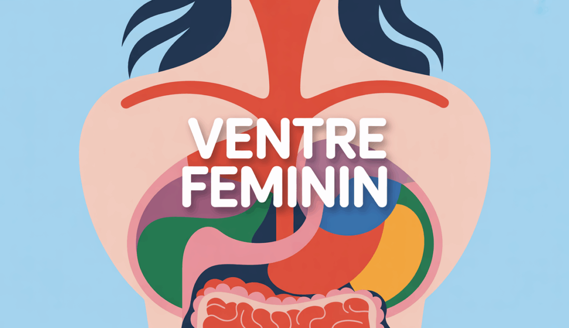 Schéma buste féminin et organes abdominaux
