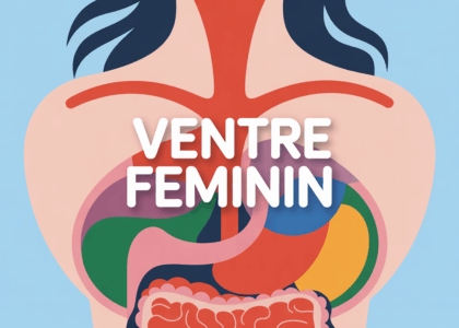 Schéma buste féminin et organes abdominaux